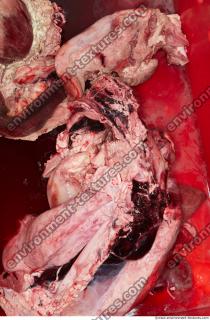 RAW meat pork viscera 0044